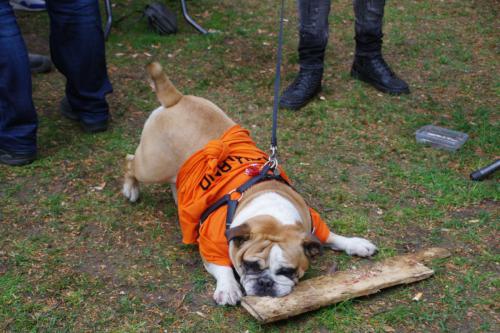 2018-Koningsdag-184